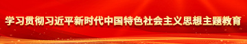 午夜免费体验福利添屄日大屌视频教程学习贯彻习近平新时代中国特色社会主义思想主题教育